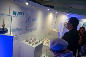 Noche de los Museos en Monte Hermoso: éxito en la 14° edición
